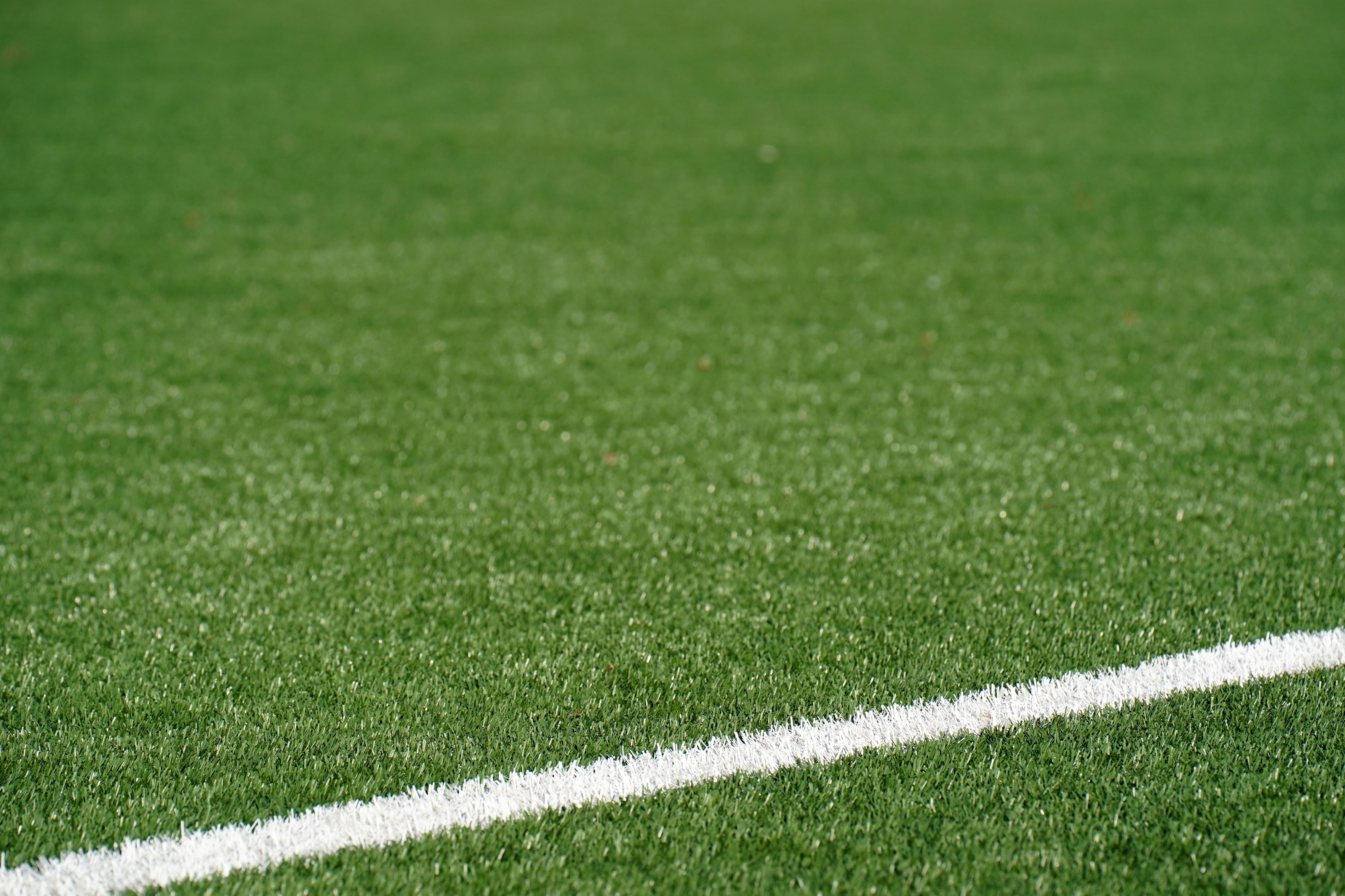 Full Turf Restoration