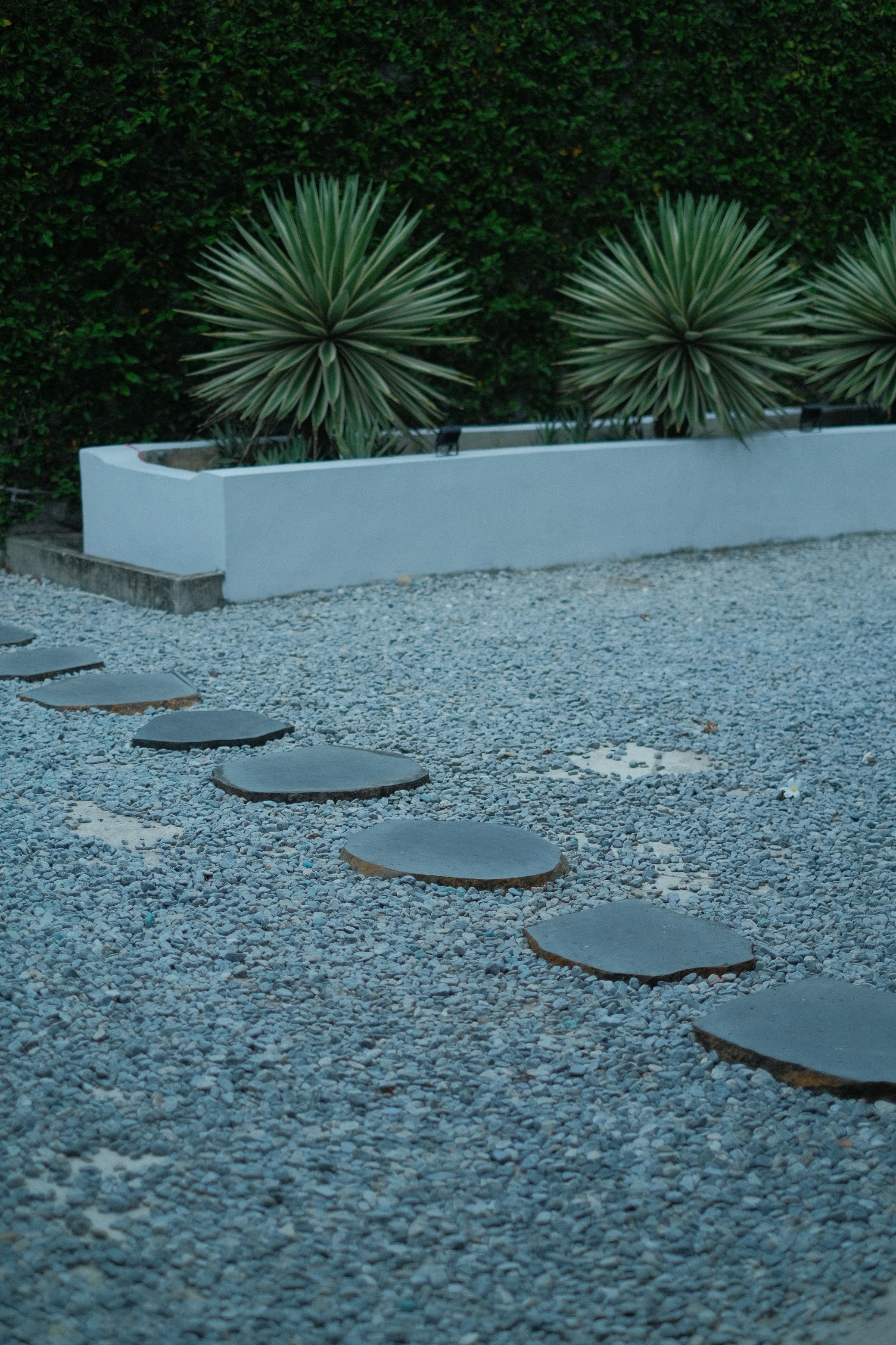 Xeriscaping & Stone Pathway
